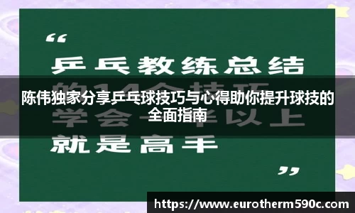 陈伟独家分享乒乓球技巧与心得助你提升球技的全面指南