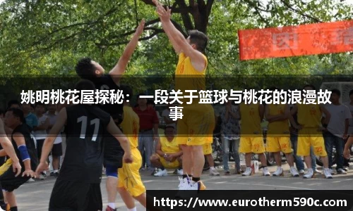 姚明桃花屋探秘：一段关于篮球与桃花的浪漫故事