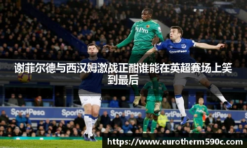 谢菲尔德与西汉姆激战正酣谁能在英超赛场上笑到最后